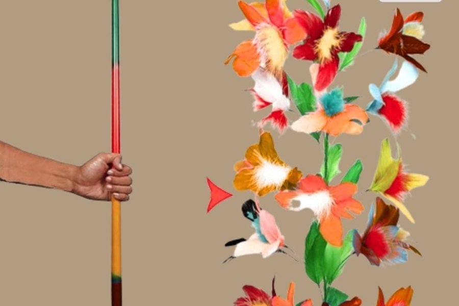 Magic House BD Flower Magic